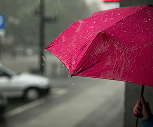 מטריות וציוד חורף