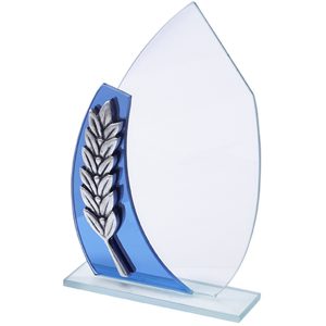 מוצרי פרסום, מגן הוקרה, חריטה על מגן הוקרה