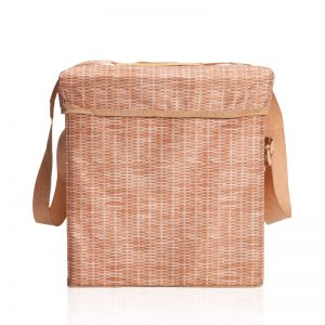 צידנית אוכל