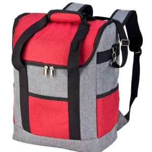 צידנית נשיאה