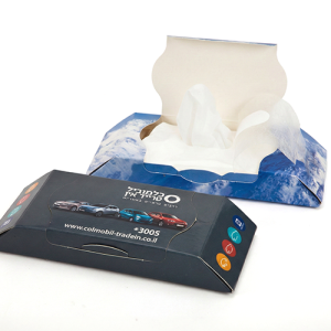 מארז 15 מגבונים לרכב בקופסה מודפסת